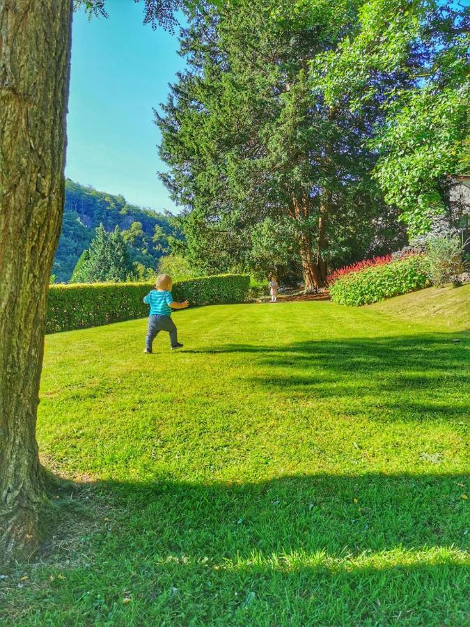 Stunning Symonds Yat Holiday Cottage Екстер'єр фото