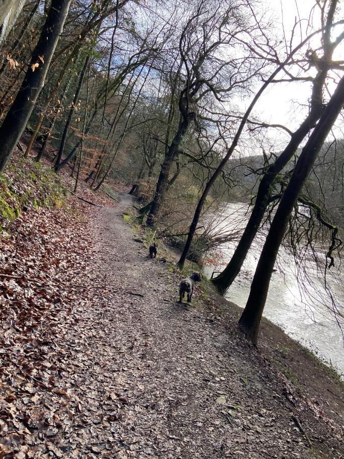 Stunning Symonds Yat Holiday Cottage Екстер'єр фото